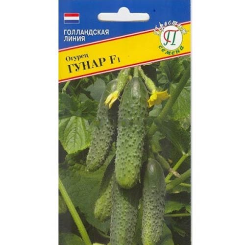 Огурец Гунар F1 Престиж артикул фото 1 Огурец Гунар F1 Престиж изображение 1 артикул 84239
