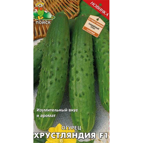 Огурец Хрустляндия F1 Поиск артикул фото 1 Огурец Хрустляндия F1 Поиск изображение 1 артикул 81974