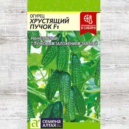 Огурец Хрустящий пучок F1 артикул фото 1 Огурец Хрустящий пучок F1 изображение 1 артикул 81536