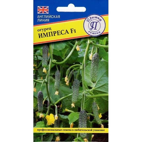 Огурец Импреса F1 Престиж артикул фото 1 Огурец Импреса F1 Престиж изображение 1 артикул 84246