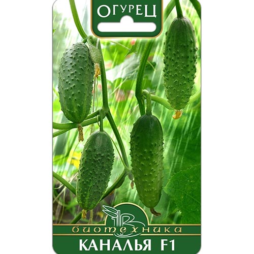 Огурец Каналья F1 Биотехника изображение 1 артикул 91522