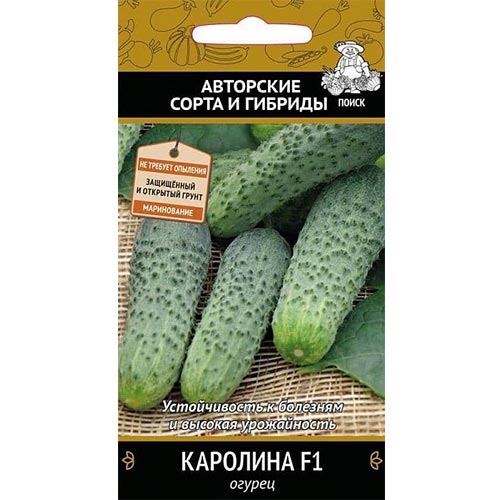 Огурец Каролина F1 Поиск изображение 1 артикул 81953