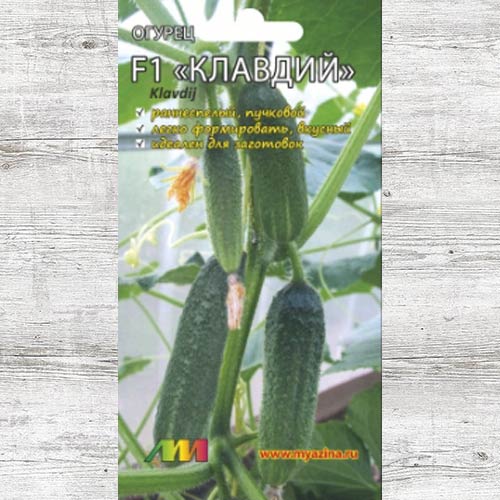Огурец Клавдий F1 изображение 1 артикул 83490