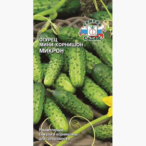 Огурец корнишон Микрон  Седек изображение 1 артикул 98037
