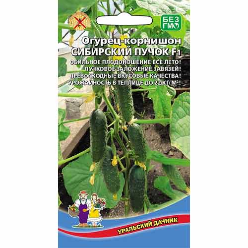 Огурец корнишон Сибирский пучок F1 Уральский дачник изображение 1 артикул 99268