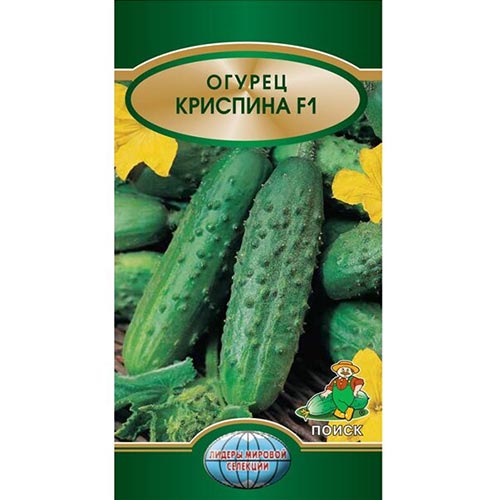 Огурец Криспина F1 Поиск изображение 1 артикул 81955