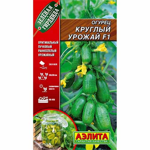 Огурец Круглый урожай F1 Аэлита изображение 1 артикул 40132