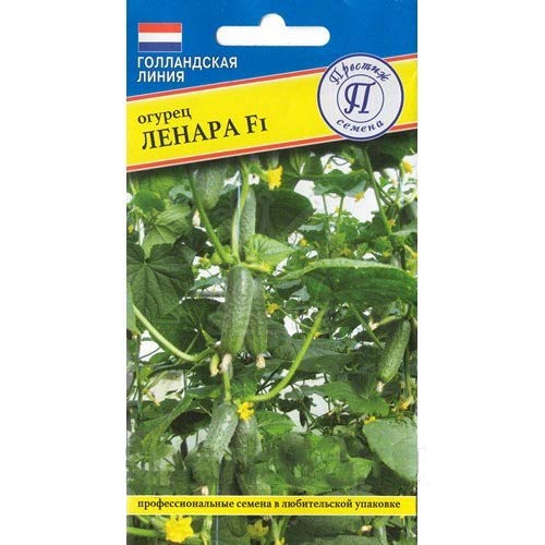 Огурец Ленара F1 Престиж артикул фото 1 Огурец Ленара F1 Престиж изображение 1 артикул 84250