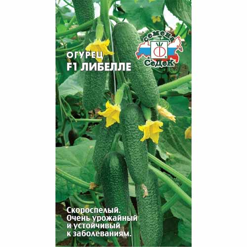Огурец Либелле F1 Седек изображение 1 артикул 40478