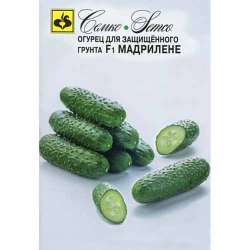 Огурец Мадрилене F1 Семко изображение 1 артикул 82597