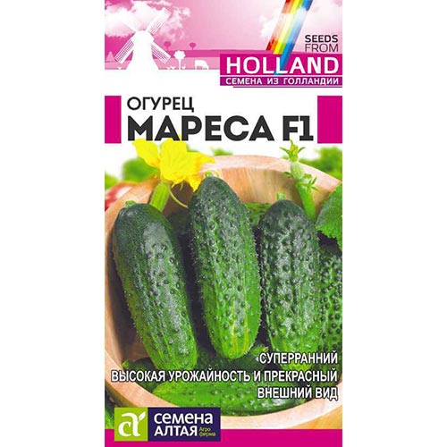 Огурец Мареса F1 Семена Алтая артикул фото 1 Огурец Мареса F1 Семена Алтая изображение 1 артикул 81529