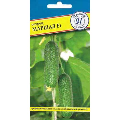Огурец Маршал F1 Престиж изображение 1 артикул 97934