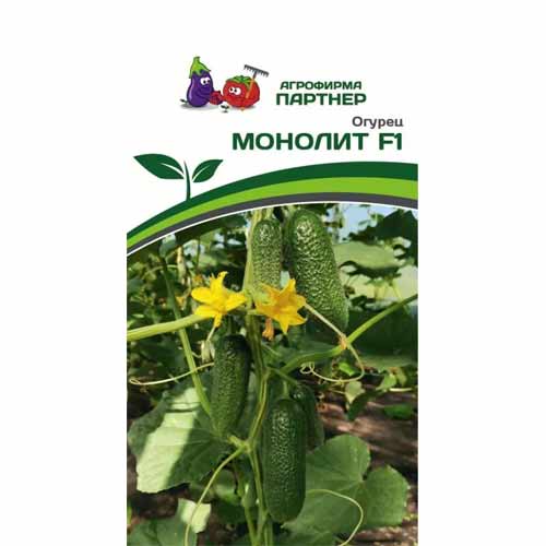 Огурец Монолит F1 Партнер изображение 1 артикул 88042