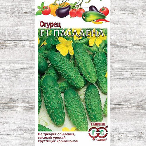 Огурец Пасадена F1 Гавриш артикул фото 1 Огурец Пасадена F1 Гавриш изображение 1 артикул 82235