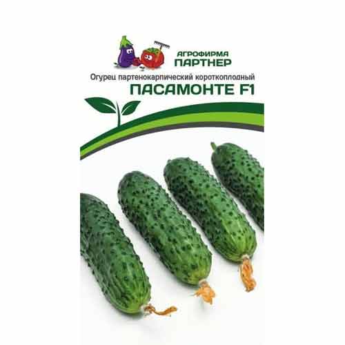 Огурец Пасамонте F1 Партнер изображение 1 артикул 40724
