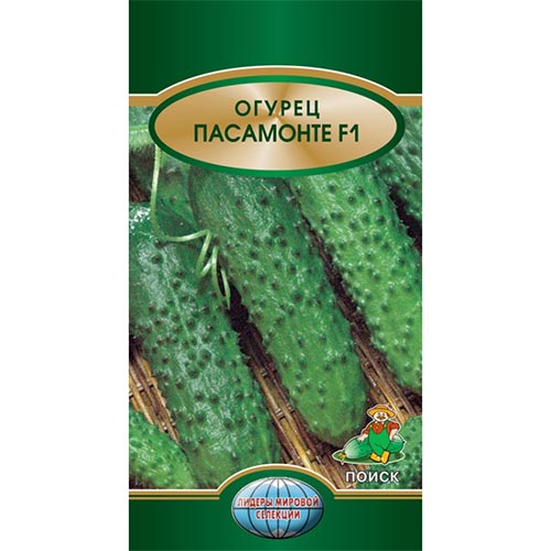Огурец Пасамонте F1 Поиск изображение 1 артикул 92778