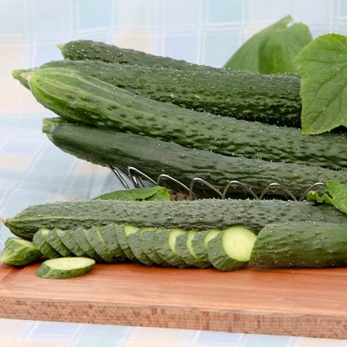 Огурец Пекинский вкусный F1 артикул фото 1 Огурец Пекинский вкусный F1 изображение 1 артикул 65134