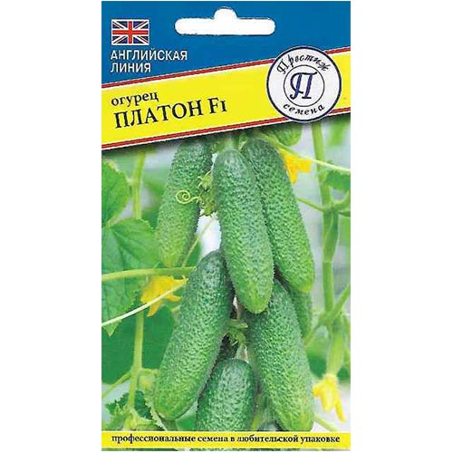 Огурец Платон F1 Престиж изображение 1 артикул 81191