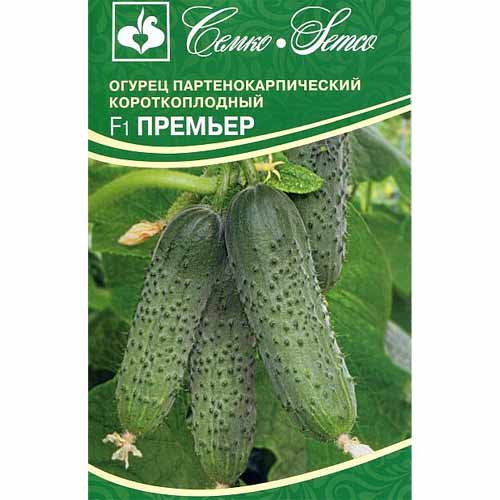 Огурец Премьер F1 Семко изображение 1 артикул 40558
