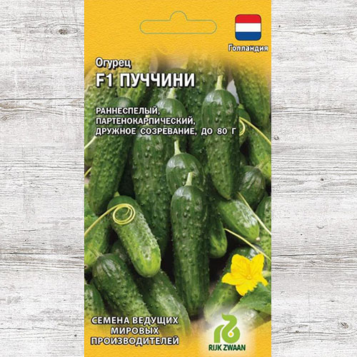 Огурец Пуччини F1 Гавриш артикул фото 1 Огурец Пуччини F1 Гавриш изображение 1 артикул 82223