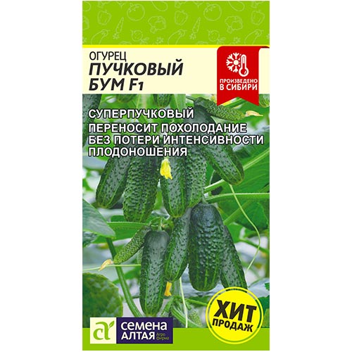 Огурец Пучковый бум F1 Семена Алтая изображение 1 артикул 81531