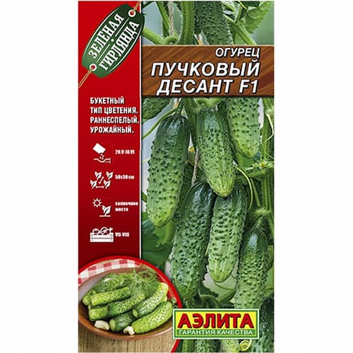 Огурец Пучковый десант F1 Аэлита изображение 1 артикул 98427