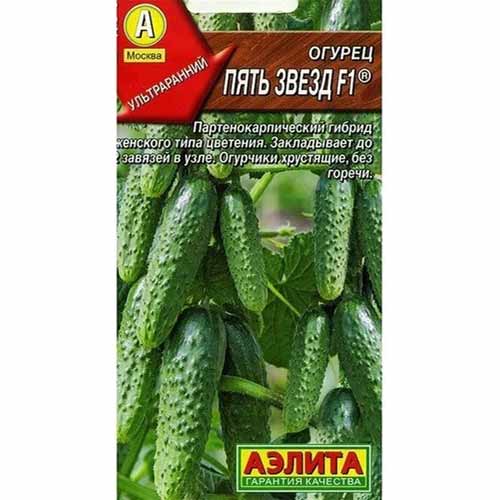 Огурец Пять звезд F1 Аэлита артикул фото 1 Огурец Пять звезд F1 Аэлита изображение 1 артикул 40137