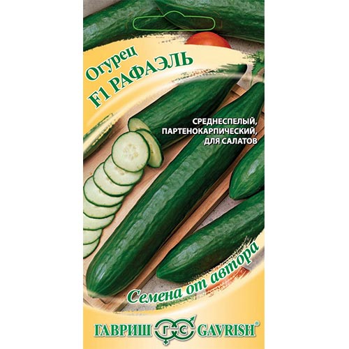 Огурец Рафаэль F1 Гавриш изображение 1 артикул 91772