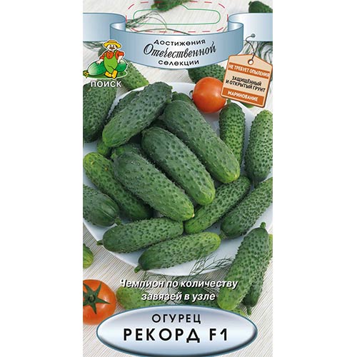 Огурец Рекорд F1 Поиск артикул фото 1 Огурец Рекорд F1 Поиск изображение 1 артикул 81967