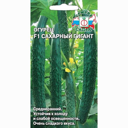 Огурец Сахарный гигант F1 Седек артикул фото 1 Огурец Сахарный гигант F1 Седек изображение 1 артикул 65135