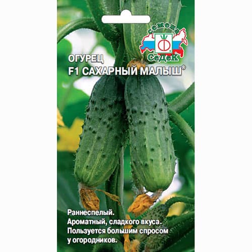Огурец Сахарный малыш F1 Седек изображение 1 артикул 65122