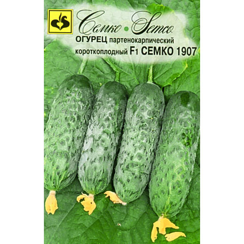 Огурец Семко 1907 F1 Семко изображение 1 артикул 82602