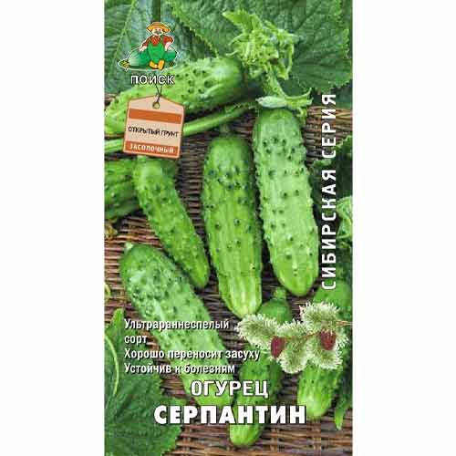 Огурец Серпантин Поиск артикул фото 1 Огурец Серпантин Поиск изображение 1 артикул 66332