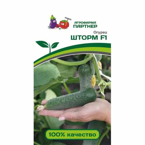 Огурец Шторм F1 Партнер изображение 1 артикул 40725