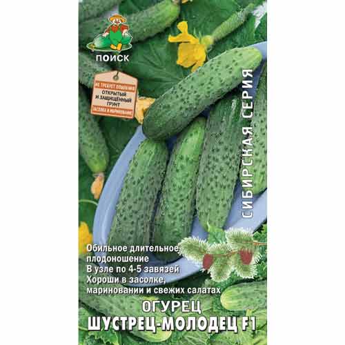 Огурец Шустрец-молодец F1 Поиск артикул фото 1 Огурец Шустрец-молодец F1 Поиск изображение 1 артикул 65382