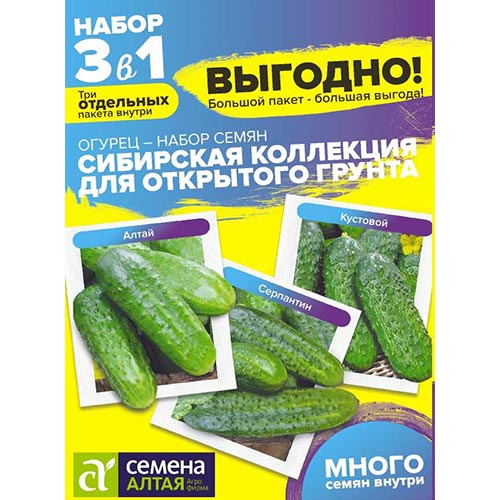 Огурец Сибирская коллекция Для открытого грунта, смесь сортов Семена Алтая артикул фото 1 Огурец Сибирская коллекция Для открытого грунта, смесь сортов Семена Алтая изображение 1 артикул 84696