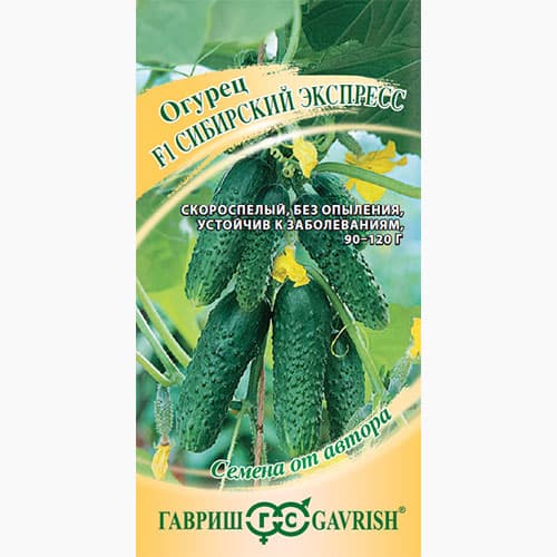Огурец Сибирский экспресс F1 Гавриш изображение 1 артикул 97470