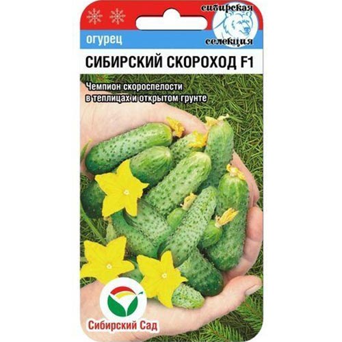 Огурец Сибирский скороход F1 Сибирский сад изображение 1 артикул 66638