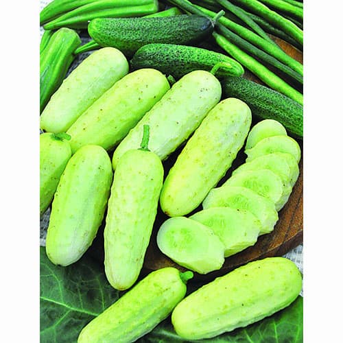 Огурец Сладкий хруст Русский огород НК изображение 1 артикул 69907