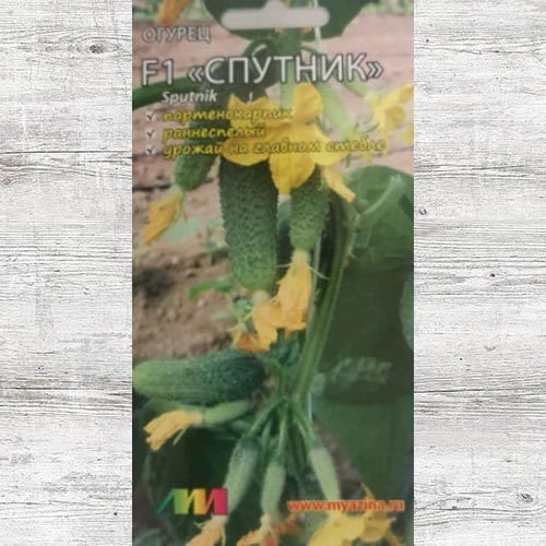 Огурец Спутник F1 изображение 1 артикул 83492