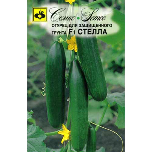 Огурец Стелла F1 Семко изображение 1 артикул 82605