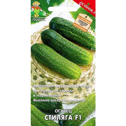 Огурец Стиляга F1 Поиск изображение 1 артикул 81971