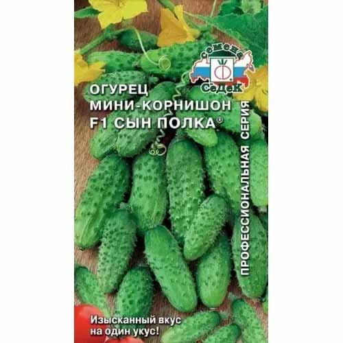 Огурец Сын полка F1 Седек изображение 1 артикул 40481