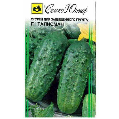 Огурец Талисман F1 Семко изображение 1 артикул 94260