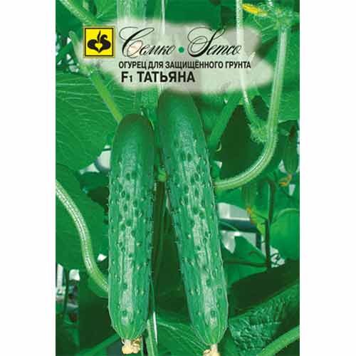 Огурец Татьяна F1 Семко изображение 1 артикул 82608