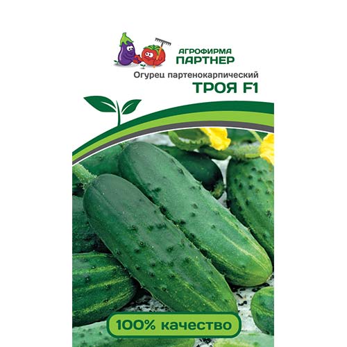 Огурец Троя F1 Партнер артикул фото 1 Огурец Троя F1 Партнер изображение 1 артикул 73457