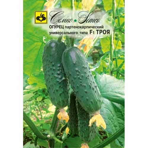 Огурец Троя F1 Семко изображение 1 артикул 83186