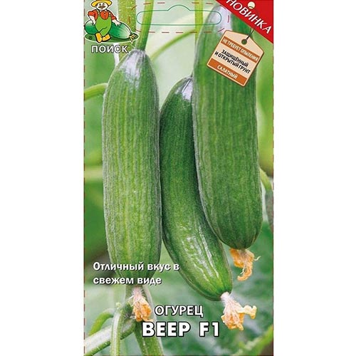 Огурец Веер F1 Поиск изображение 1 артикул 92771