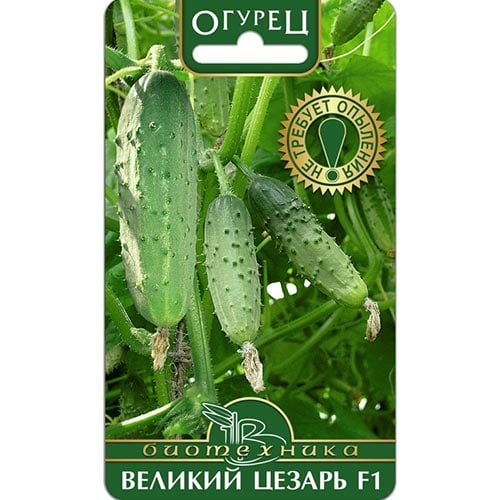 Огурец Великий Цезарь F1 Биотехника изображение 1 артикул 91515
