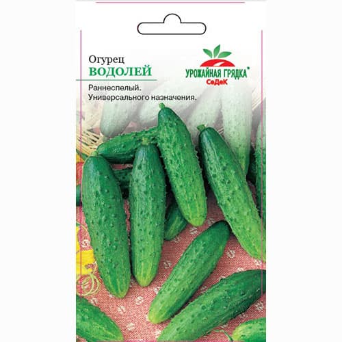 Огурец Водолей Седек изображение 1 артикул 84903